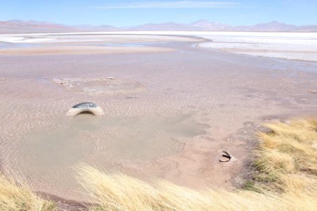 Salar Blanco: El triste panorama del Salar de Maricunga