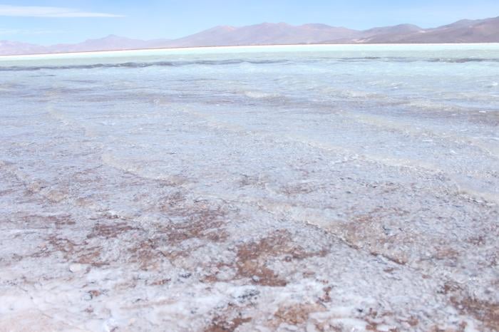 La fiebre del litio en el Salar de Maricunga: Gobierno de Piñera apuró aprobación de proyecto Salar Blanco sin consulta indígena