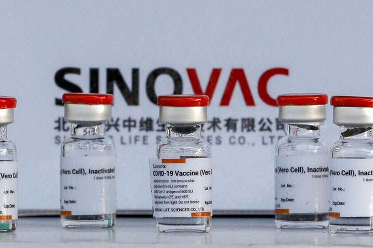 «Tamaño de mercado»: Gobierno confirma que Sinovac no instalará planta de vacunas Antofagasta
