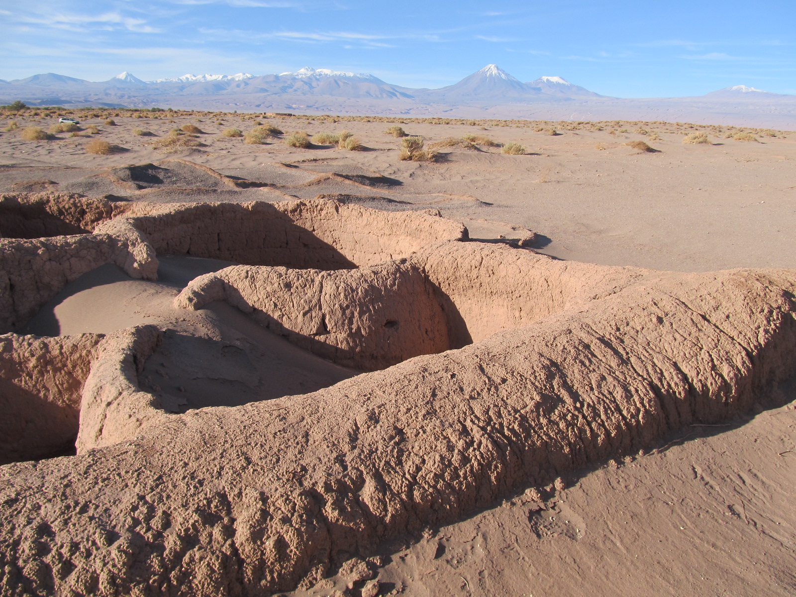 Sociedad Chilena de Arqueología solicita al Gobierno acelerar los trámites de aprobación de proyecto