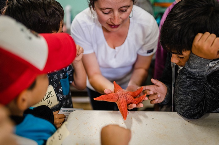 Educación y comunicación para la protección de la vida marina: Impulsan campaña “Por un Océano Vivo”