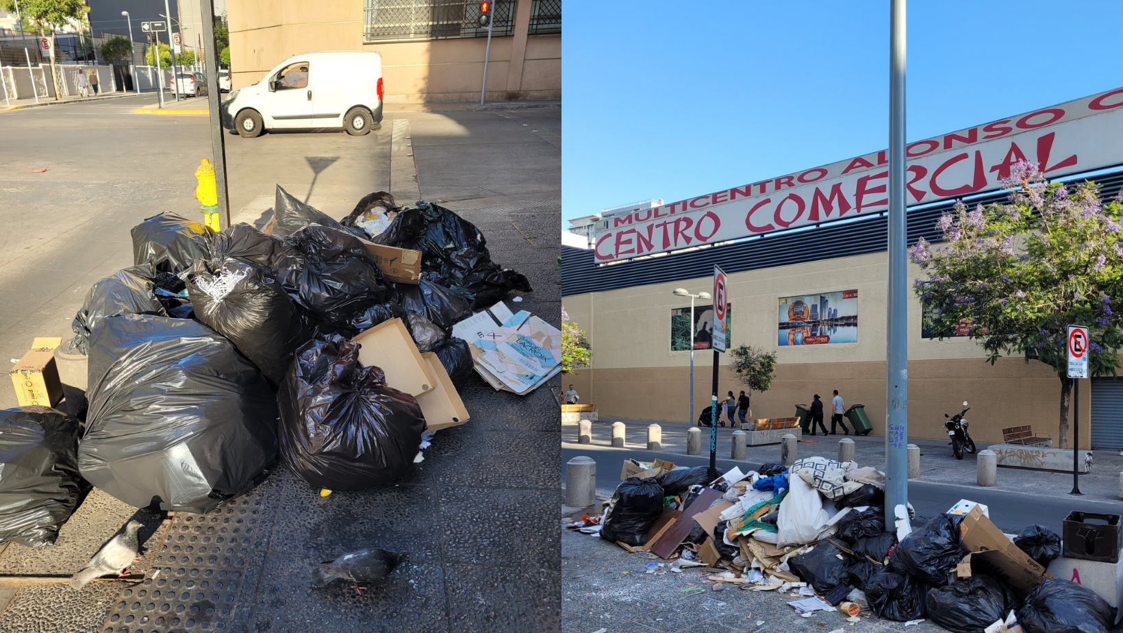 Cursan sumario sanitario a Municipalidad de Santiago por más de tres mil toneladas de basura en vía pública