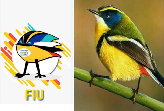 Fiu, el ave siete colores mascota de los panamericanos cuyo hábitat en la vida real está en peligro: Los humedales