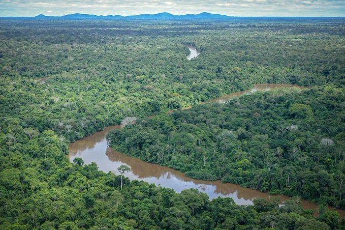 Buenas cifras para Brasil: Deforestación en la Amazonía disminuyó 22,3% en el último año