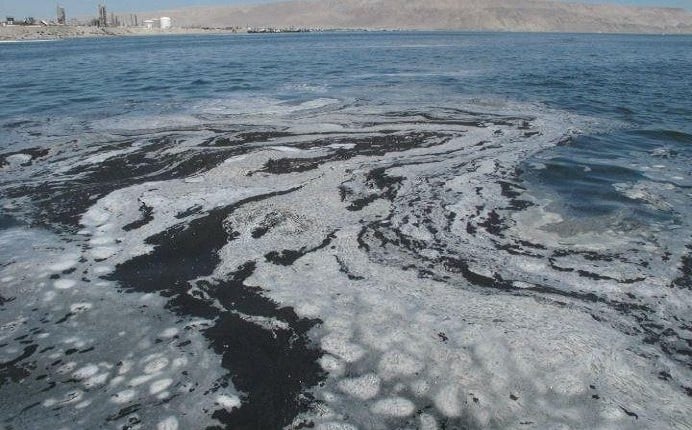 Pescadores artesanales de Mejillones: “La Bahía no está enferma, está muerta”  