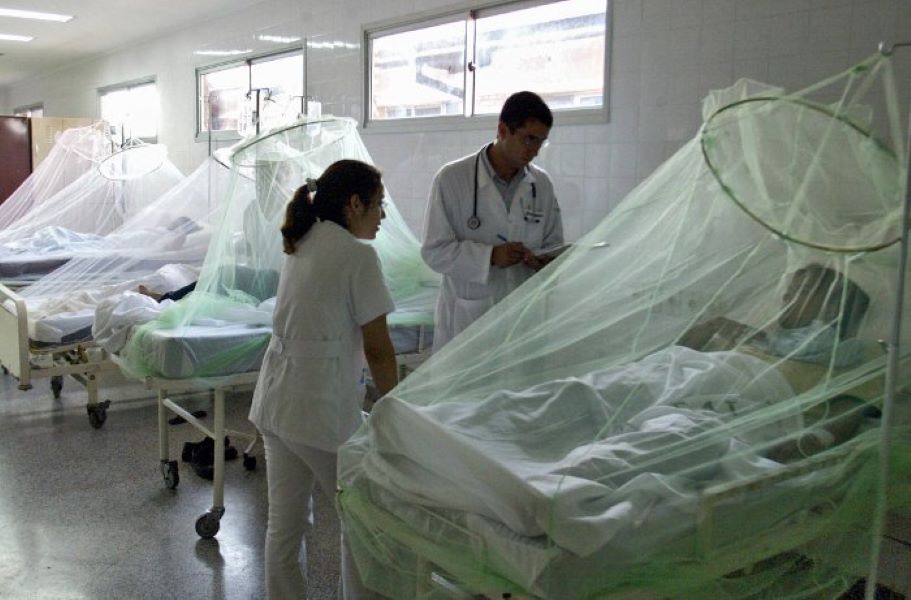 Paraguay duplica casos de dengue en tres semanas