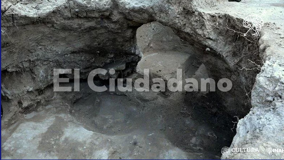Descubren fosa prehispánica en Bosque de Chapultepec