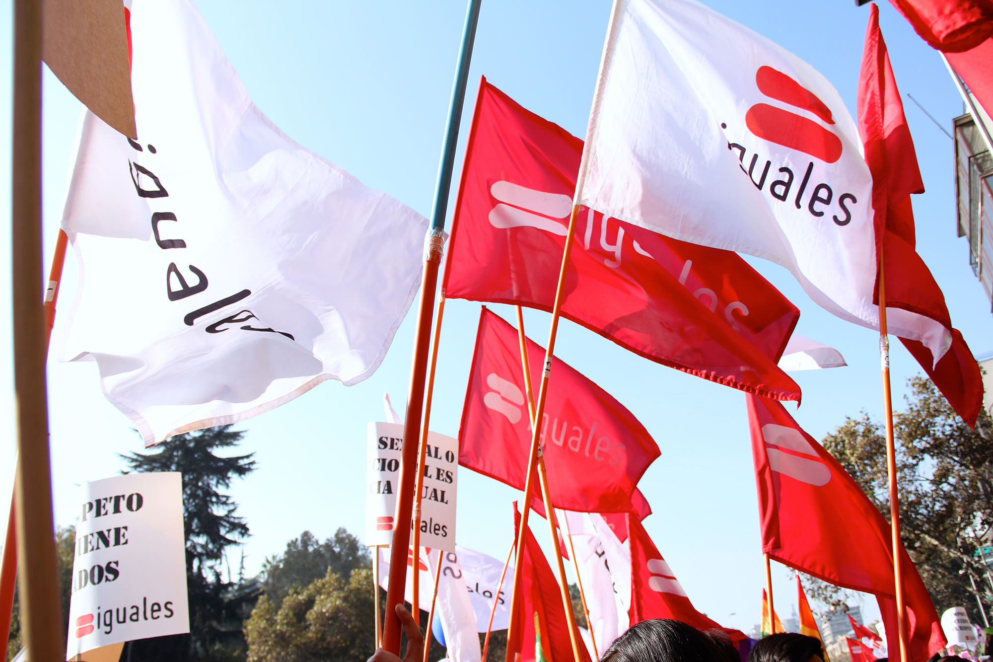 Fundación Iguales llama a votar «En Contra» de la propuesta constitucional: «Da espacio a la discriminación arbitraria»