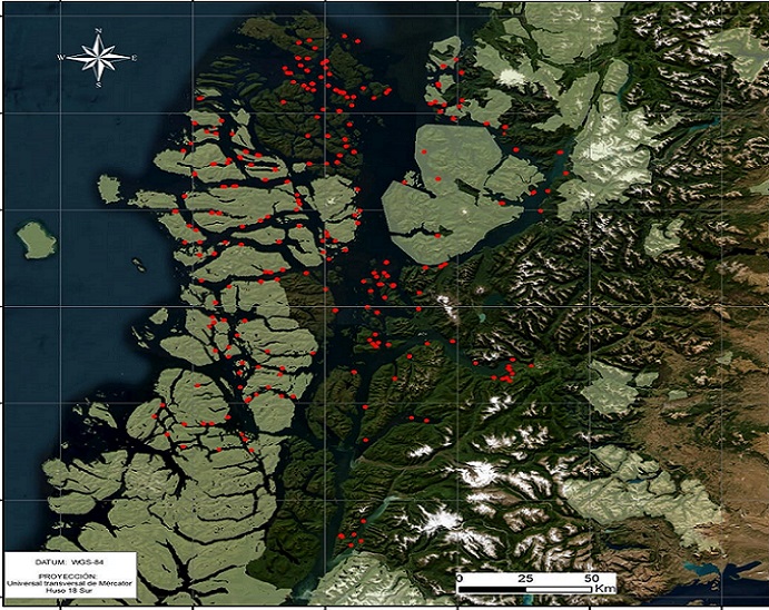 Especulación al descubierto: Más de 250 concesiones salmoneras en Región de Aysén en condición de caducidad
