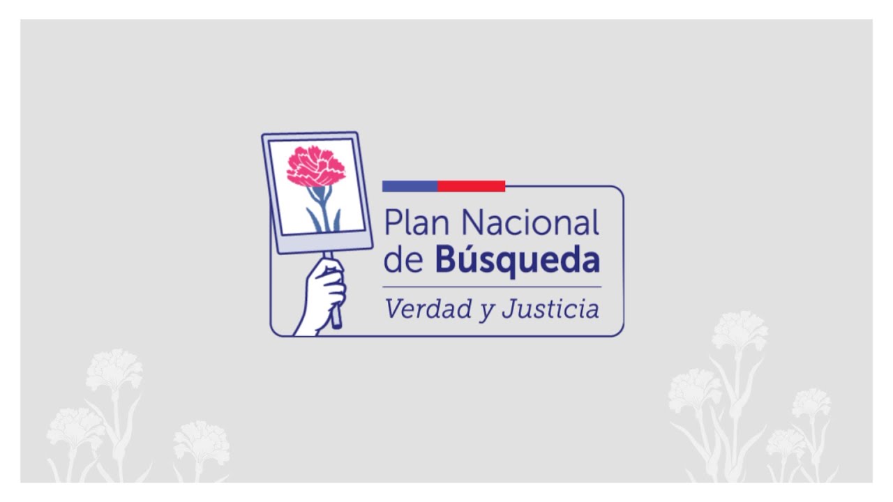 Publicado en diario Oficial “Plan Nacional de Búsqueda”