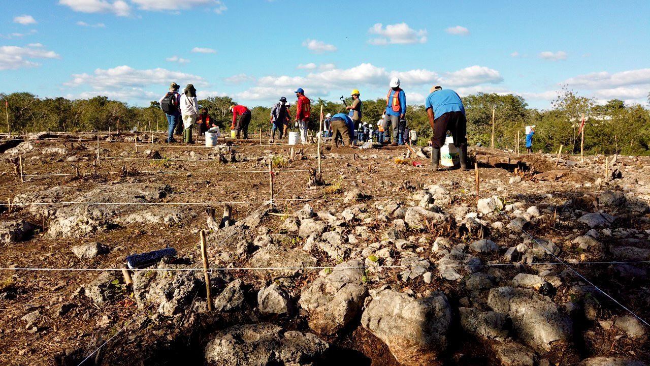 INAH recupera más de un millón de piezas arqueológicas por Tren Maya