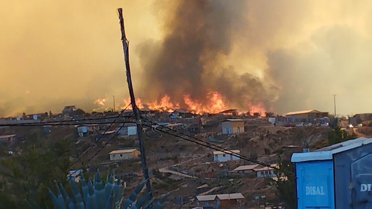 Senapred declara Alerta Roja en provincia de Marga Marga por incendio forestal cercano a sectores poblados