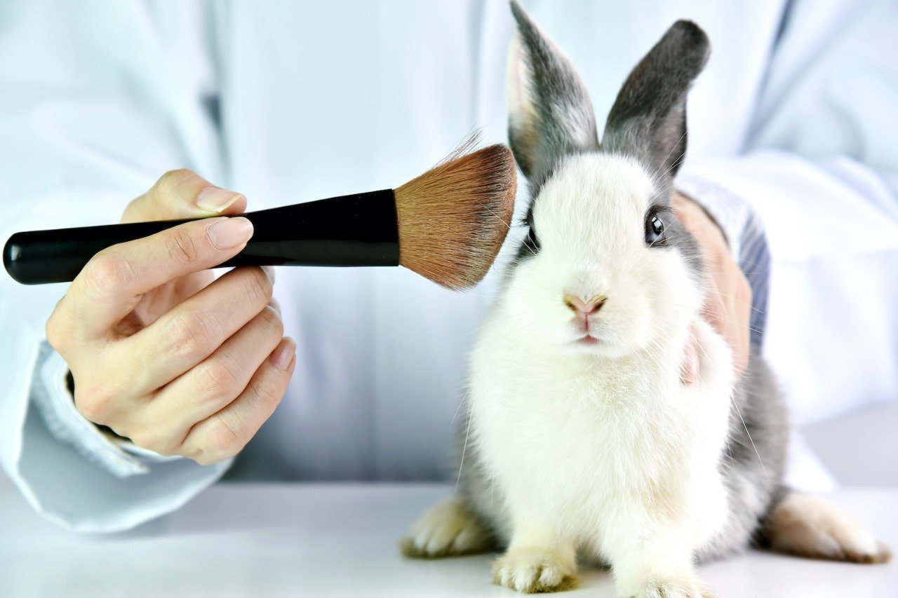 Senado aprueba proyecto que prohíbe a la industria cosmética experimentar con animales