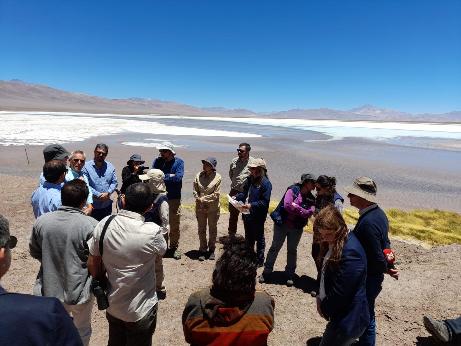 La vuelta de los flamencos al Salar de Maricunga