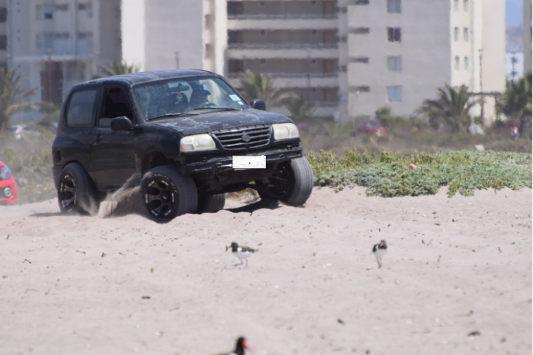 Aprobado en general proyecto que prohíbe el tránsito de vehículos en playas y dunas costeras