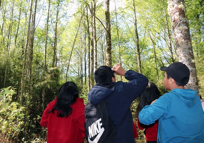 Experiencia única en educación ambiental: Escuelas de Panguipulli vivieron inédita iniciativa de enseñanza al aire libre