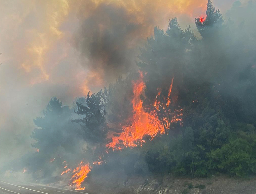 Continúan incendios forestales por altas temperaturas: AMLO