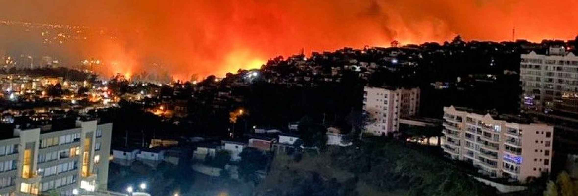 «Después de la emergencia»: Proponen ocho claves para la recuperación sostenible en zonas afectadas por incendios forestales