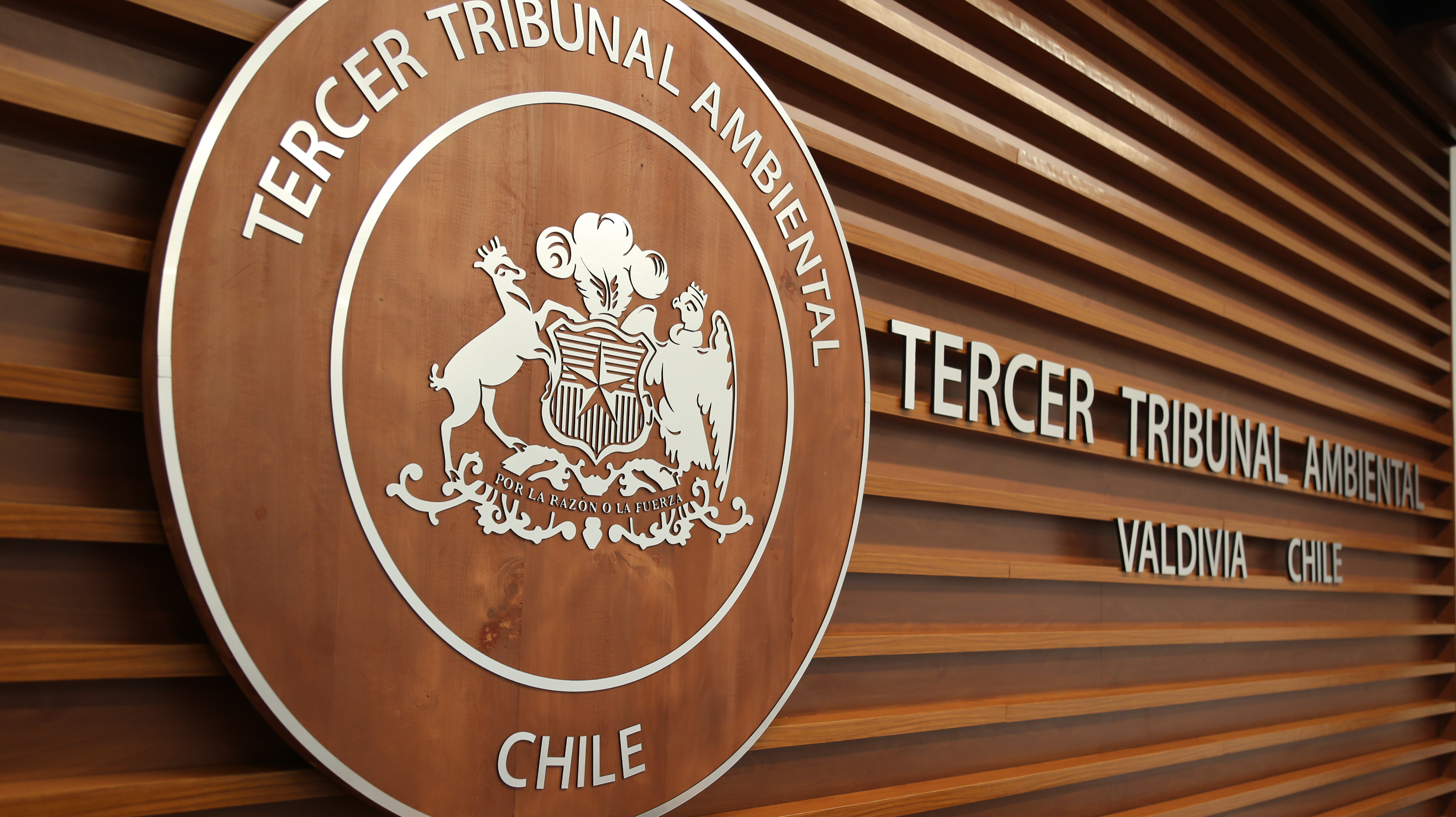 Tribunal Ambiental rechaza demanda por daño ambiental que interpuso Municipalidad de Valdivia por Humedal Teja Sur
