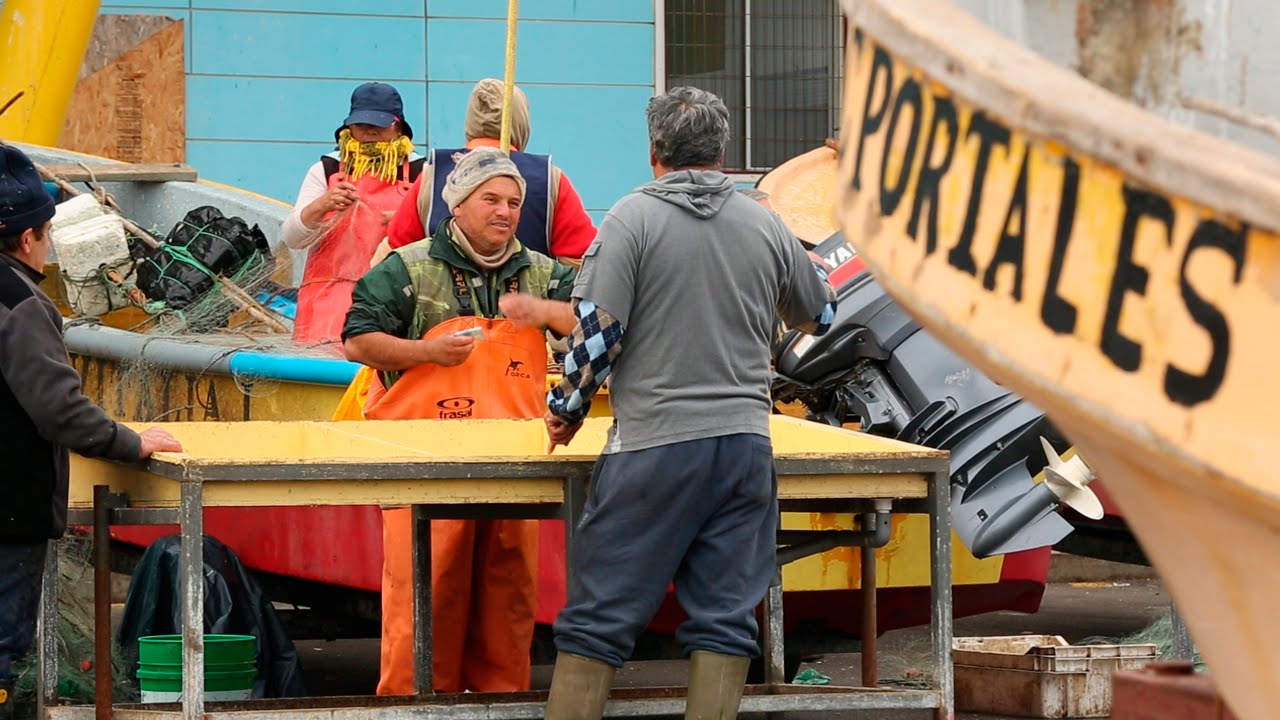 «Parece que no va a ver Año Nuevo aquí en Valparaíso»: Pescadores advierten con más protestas si no reciben bono por veda de merluza