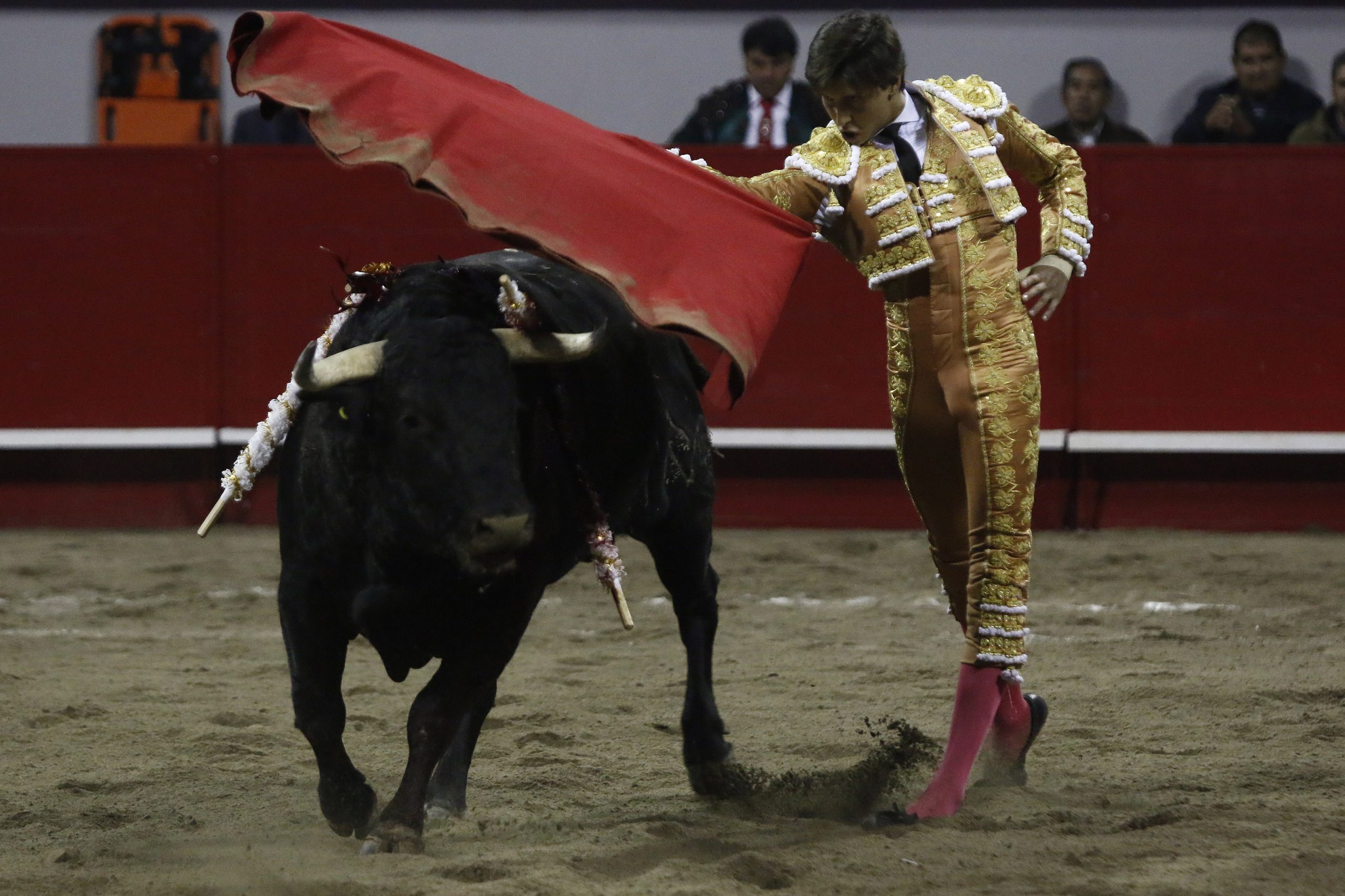 ¿Por qué regresarán las corridas de toros a la Plaza México?