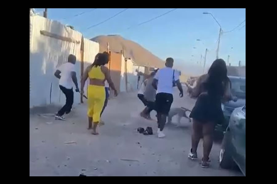 Subdere de Atacama reacciona a maltrato hacia perrito en Copiapó: «Denota una falta de empatía y humanidad que no podemos tolerar»