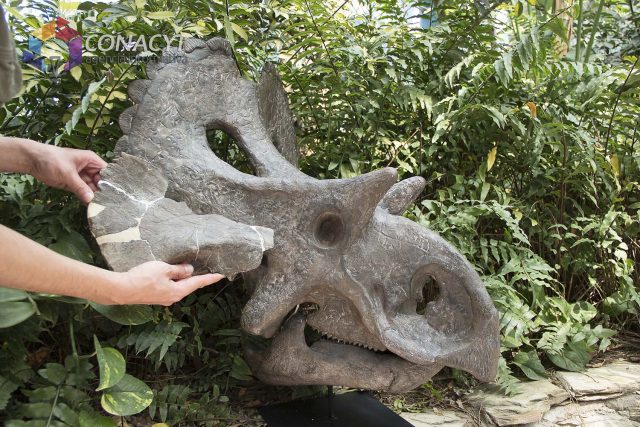 En 2024 se cumplen 200 años del hallazgo del primer dinosaurio