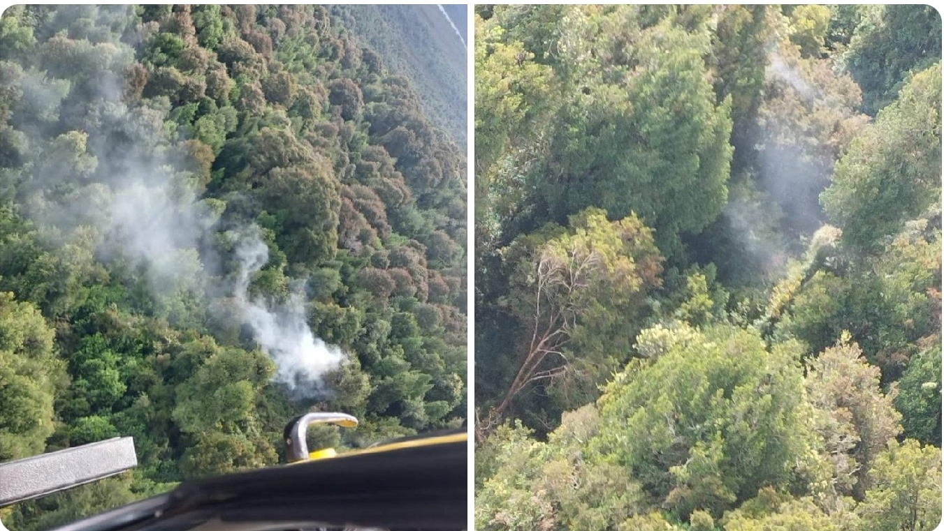 Los Lagos: Alerta Roja por incendio forestal dentro del área protegida del Parque Nacional Pumalín