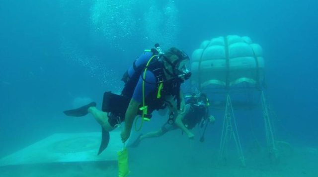 Descubrimiento profundo: Hallan impresionante cordillera submarina