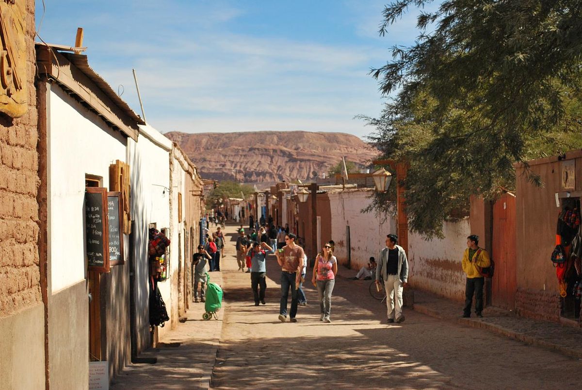 Perros que atacaron a mujer en San Pedro de Atacama fueron sacrificados