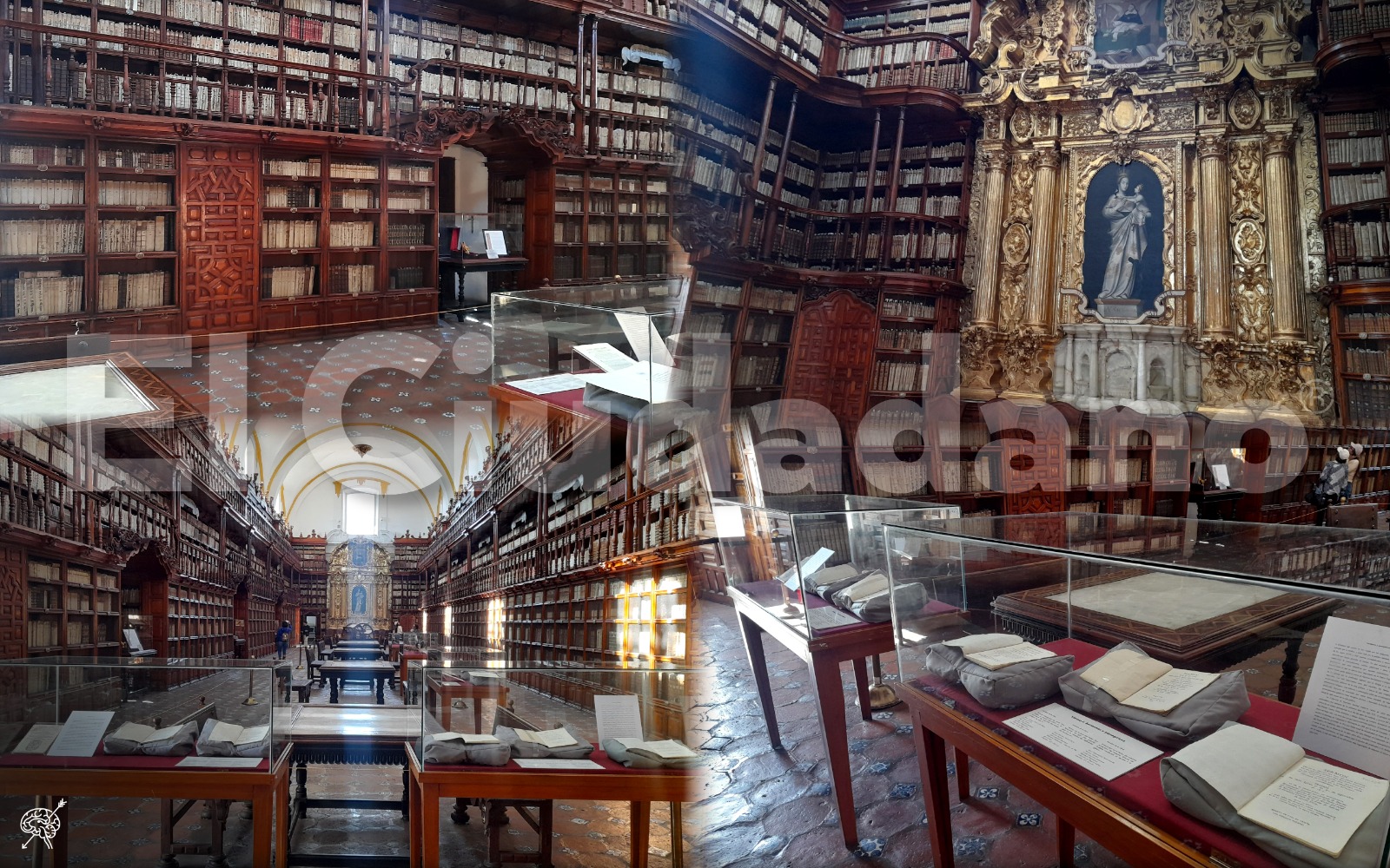 Biblioteca Palafoxiana, 337 años de historia y acervo universal