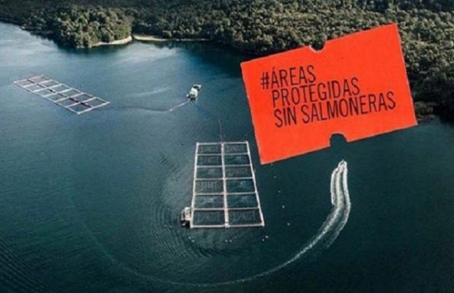 Por la defensa de las áreas marinas de la Patagonia: organizaciones comparten principales desafíos para este 2024.