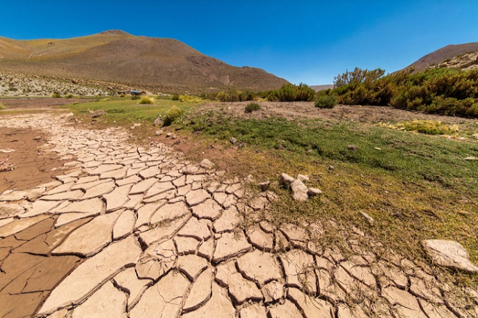 Extienden declaración de emergencia agrícola por déficit hídrico en 13 regiones del país