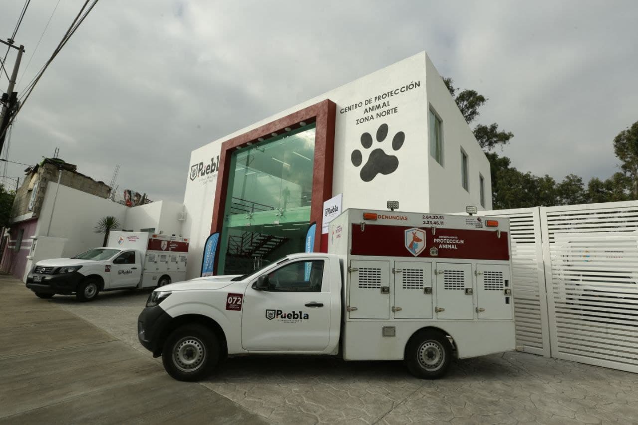Municipios poblanos, desinteresados en abrir centros de Bienestar Animal