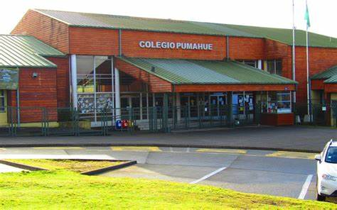 Denuncian a Colegio Pumahue por bullying e indolencia de su dirección