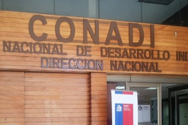 Contraloría ordena sumario en Conadi por $245 millones mal adjudicados a consultora sin experiencia