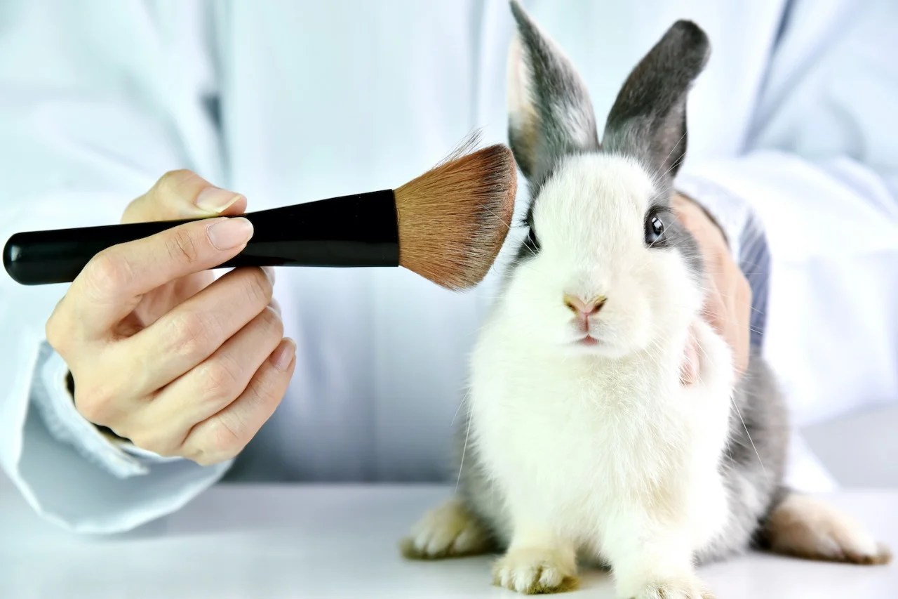 Publican en Diario Oficial ley que prohíbe la experimentación en animales para cosmética en Chile