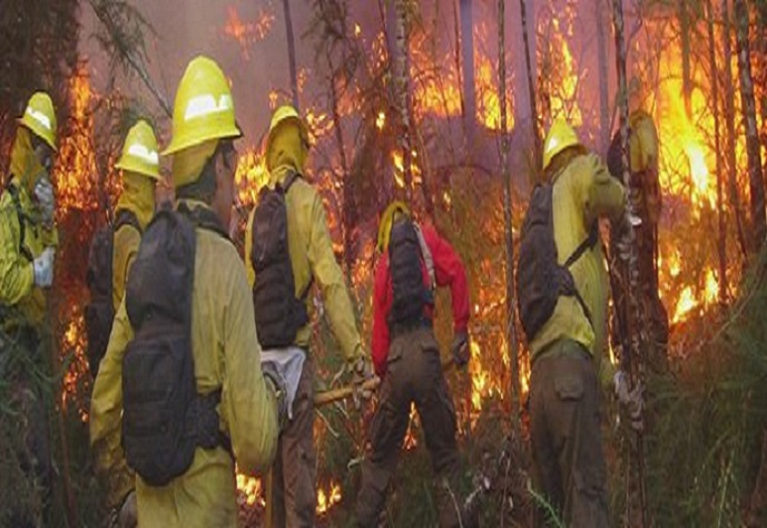 Según estudio Conaf las principales causas de incendios forestales en Chile son: Negligencia (64 %) e intencionalidad (28 %)