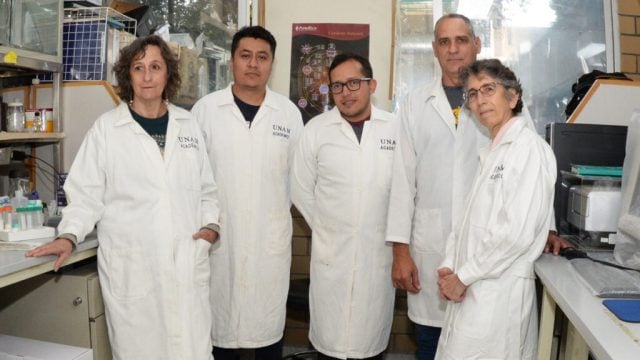 UNAM avanza en desarrollo de molécula para combatir el cáncer de mama