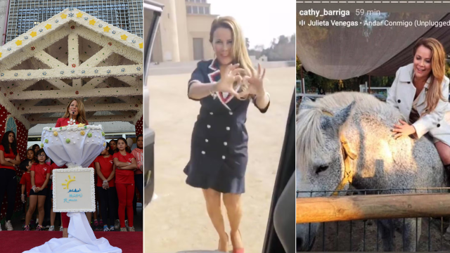 Desde una irregular casa de jengibre gigante hasta el intento de robarse la yegua municipal: Los otros escándalos que marcaron la gestión de Cathy Barriga en Maipú