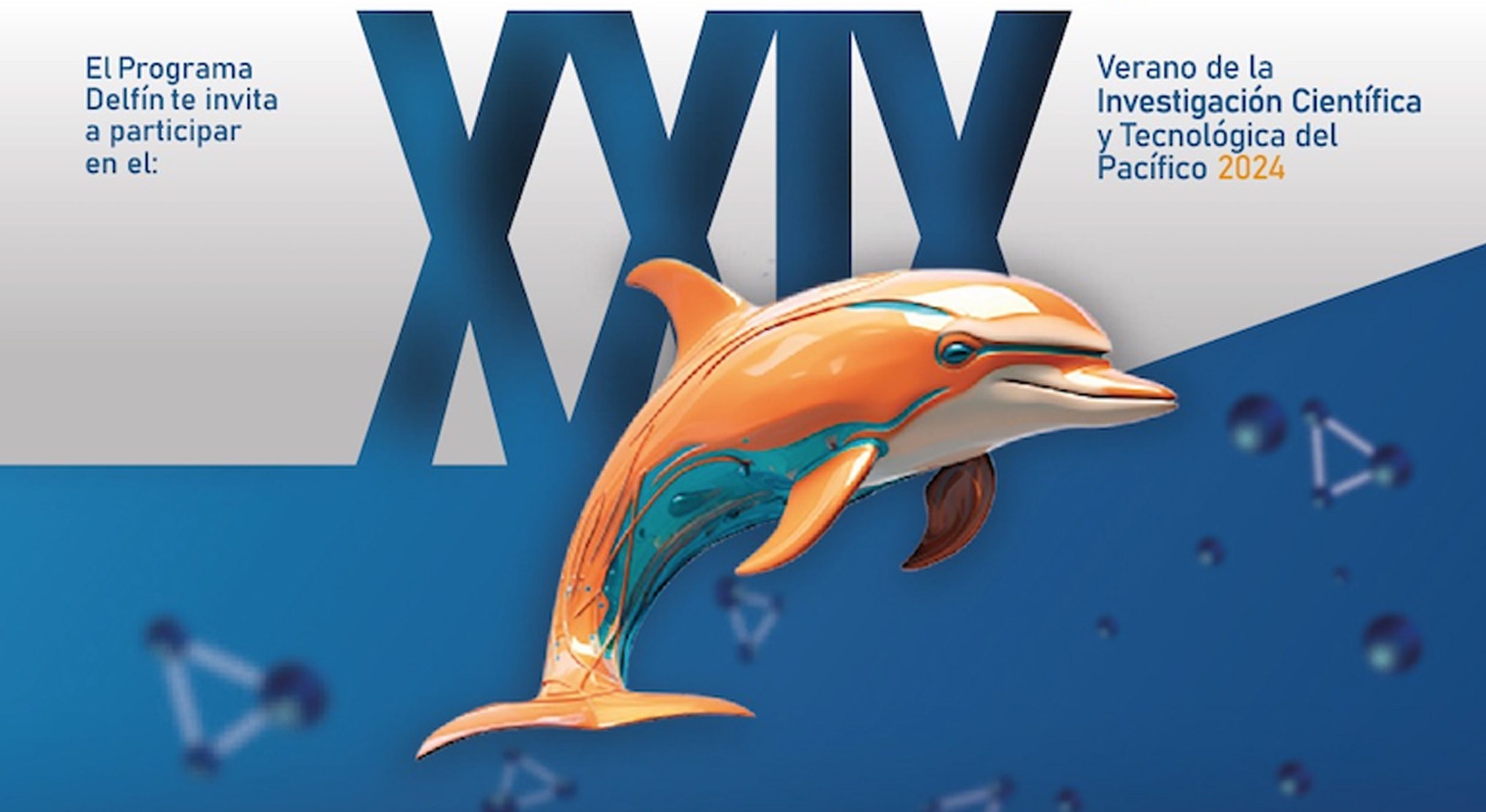 Únete al XXIX verano de Investigación Científica del Programa Delfín