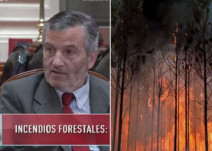 La última batalla legislativa de Antonio Horvath para salvar vidas por incendios forestales: ¿por qué fue desestimada por sus pares?