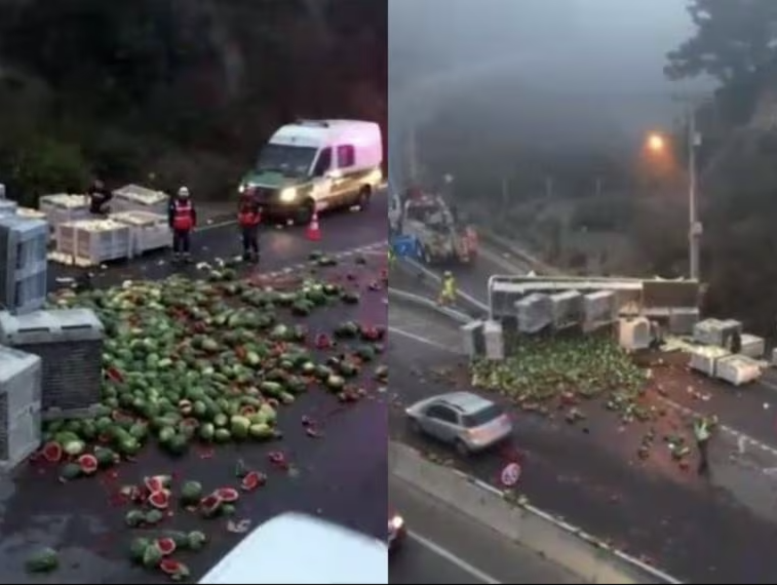 Volcamiento de camión con sandías bloqueó acceso a Viña del Mar: Cerca de dos mil frutas cubren el Camino Las Palmas
