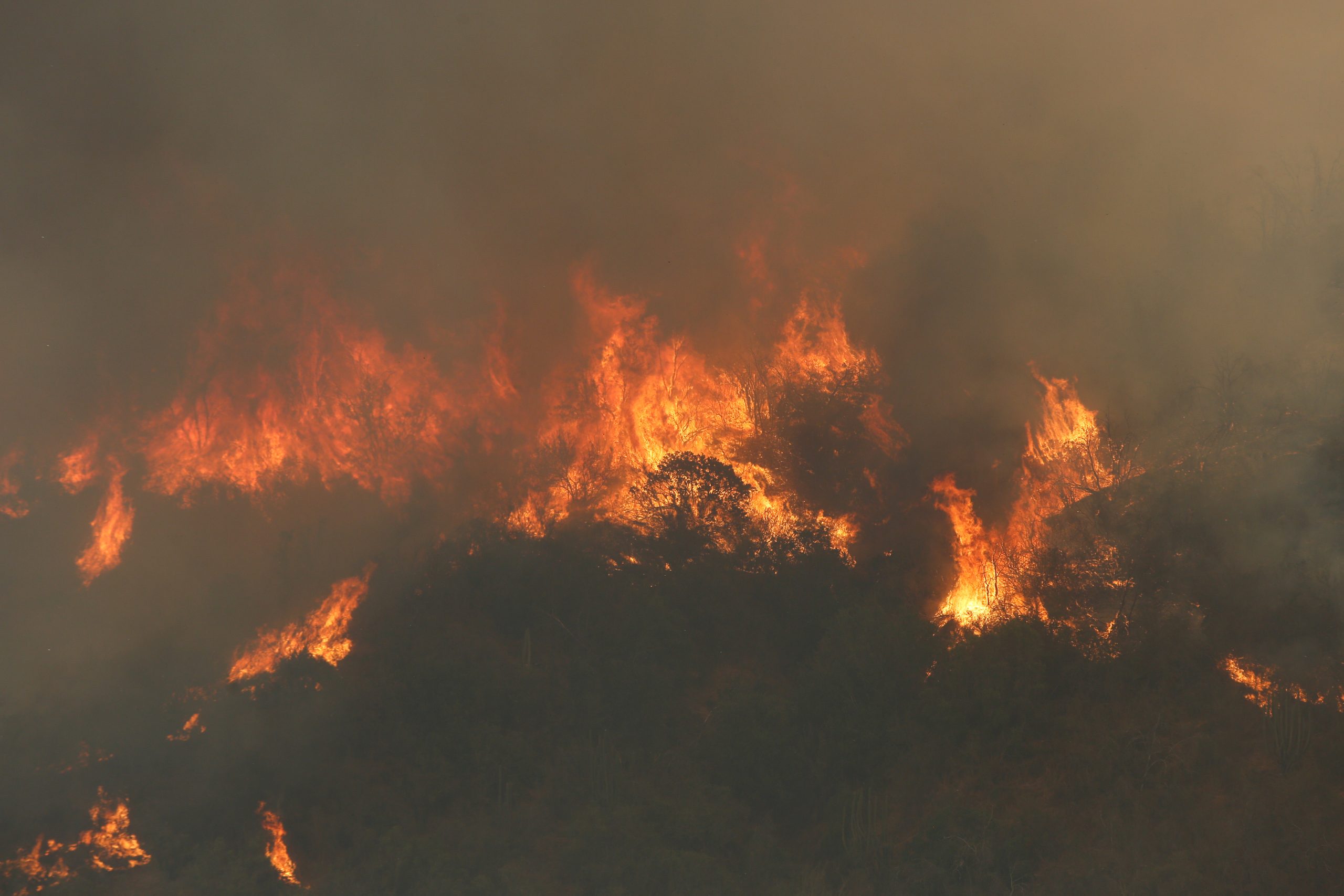 Incendio en Ixtacamaxtitlán podría ser controlado: Aquino Limón