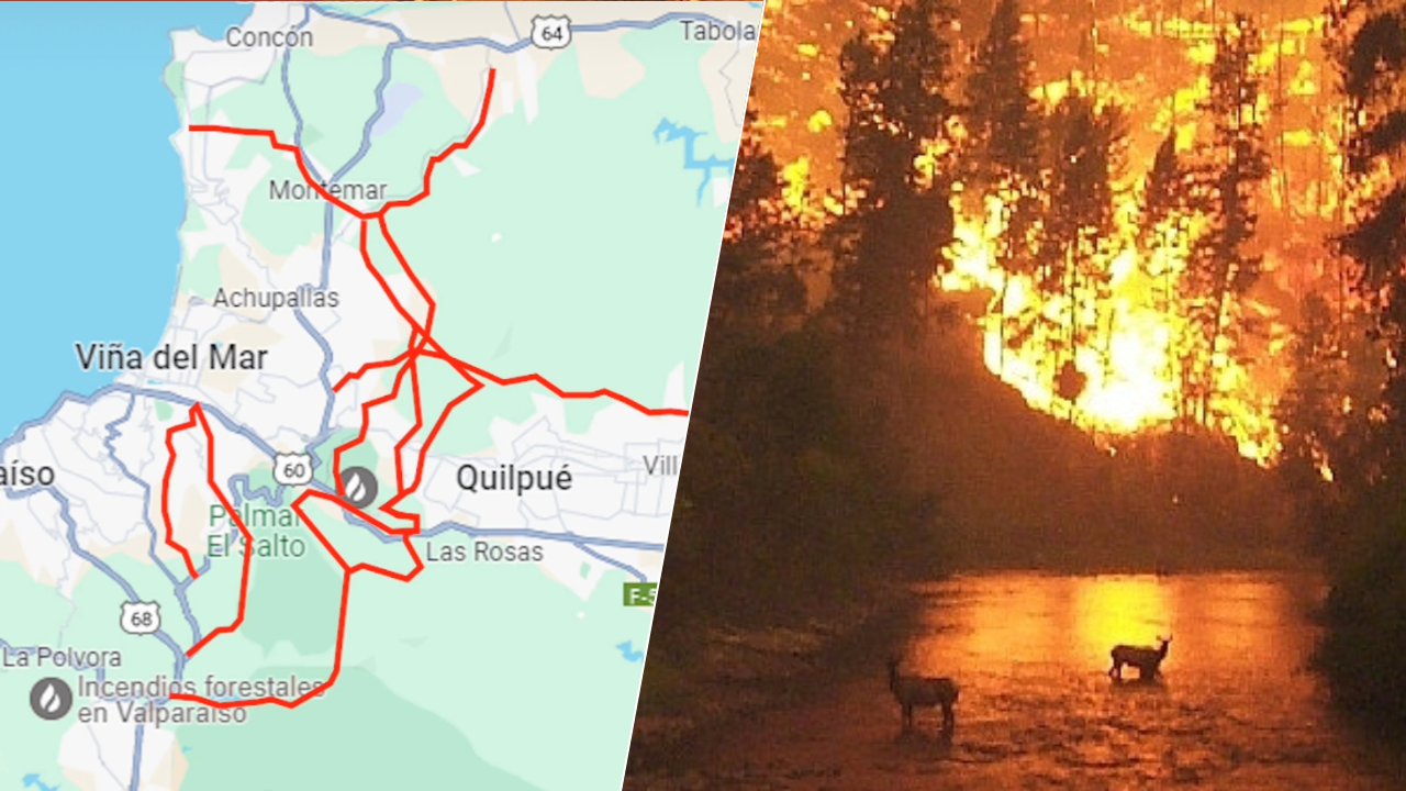 Ruta del fuego de incendio forestal en la Quinta Región coincide con trazado de proyecto del MOP de Piñera