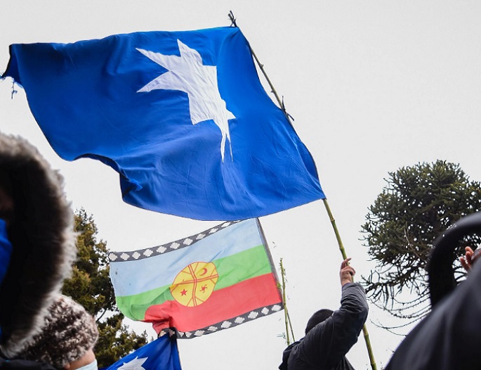 La resistencia al modelo forestal en territorio Mapuche: Entrevista a werken de Paillakawe