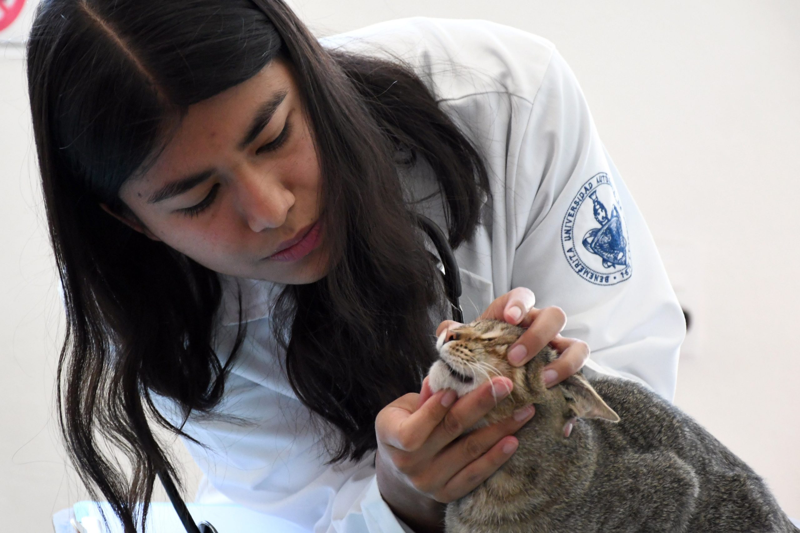 Hospital Veterinario BUAP atendió a 2 mil mascotas en 2023