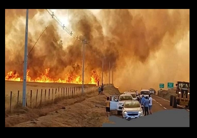 Nuevamente el fuego forestal arrasa en la Araucanía: Sospechan de intencionalidad en incendios de Galvarino