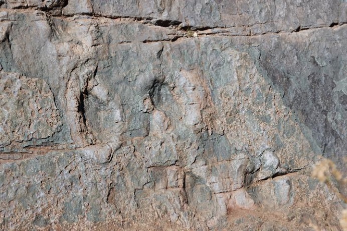 Rastro jurásico en Chile: Impresionantes huellas de dinosaurios en “Termas del Flaco” tendrían 150 millones de años