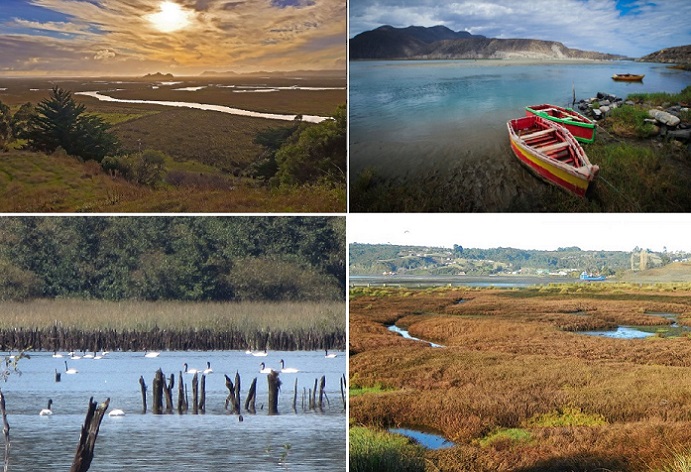 Día Mundial de los Humedales: Chile al debe con protección de estos ecosistemas indispensables para la biodiversidad